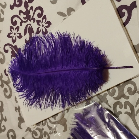 NATURAL OSTRICH FEATHERS 18-20 INCHES - 30 Pcs 💜 - Picture 11 of 14
